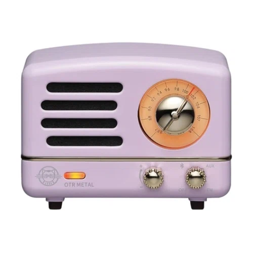 Muzen Audio Radio Bluetooth Speaker