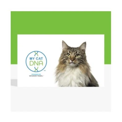 MyCatDNA Test Kit