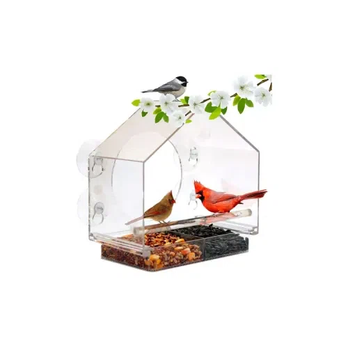 Nature Anywhere Window Bird Feeder