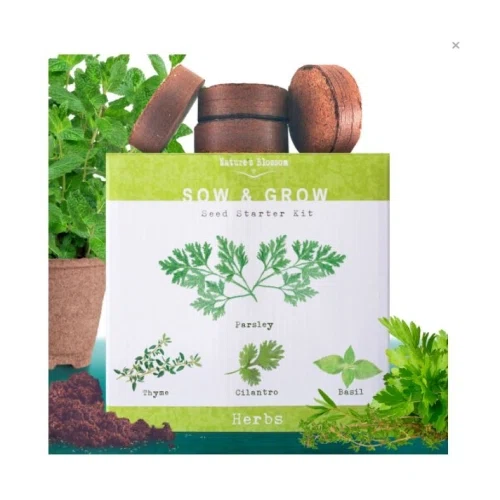 Natures Blossom Herb Garden Kit