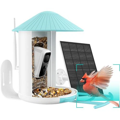Netvue Birdfy Feeder AI
