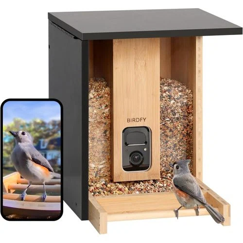 Netvue Birdfy Feeder Bamboo