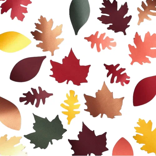 Paper Source Assorted Fall Leaves