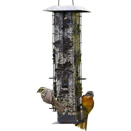 Perky-Pet Squirrel-Be-Gone Wild Bird Feeder