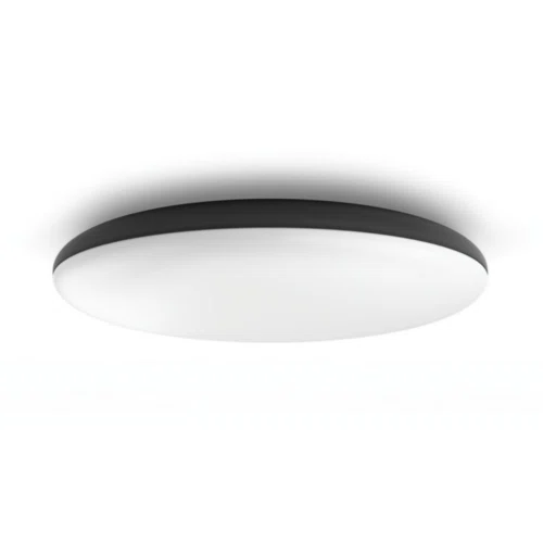Philips Hue Cher ceiling light