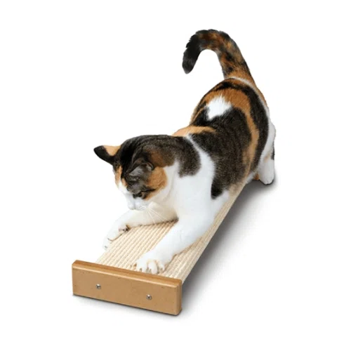 Pioneer Pet SmartCat Bootsie’s Combination Scratcher 