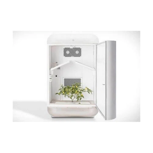Seedo Home Grow
