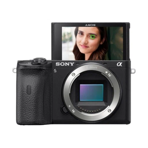 Sony Alpha 6600 APS-C Mirrorless 4K Video Camera (Body Only)