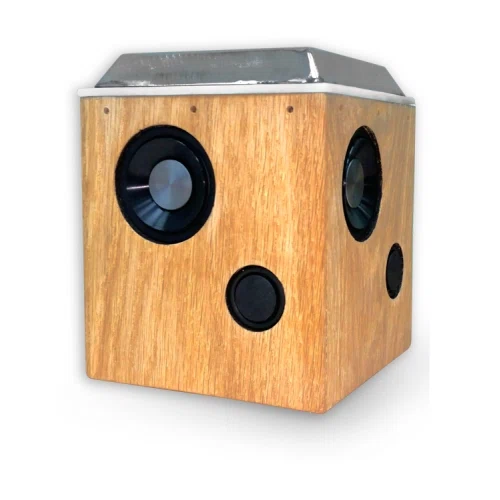 Sound Torch Speaker 