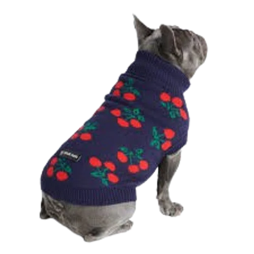 Spark Paws Knit Dog Sweater