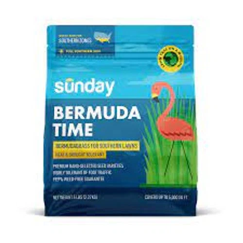 Sunday Bermuda Time Grass Seed