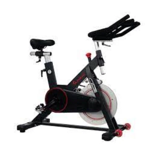 Sunny Health & Fitness Magnetic Upright Cycle Exercise Bike