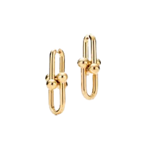 Tiffany & Co. Link Earrings