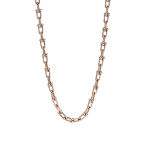 Tiffany & Co. Link Necklace