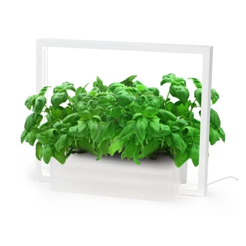 VegeBox V Frame Indoor Garden