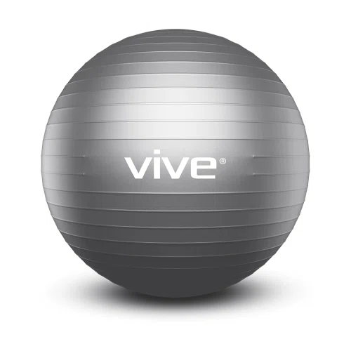 Vive Exercise Ball