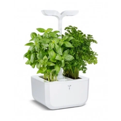 Véritable Exky Classic Garden 