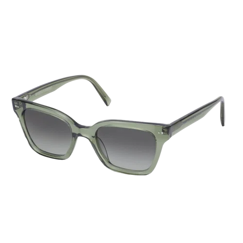 Warby Parker Beale Sunglasses