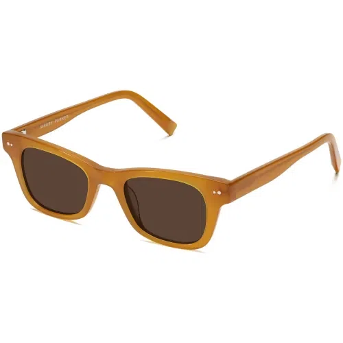 Warby Parker Freddy Sunglasses