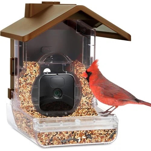 Wasserstein Bird Feeder Camera Case