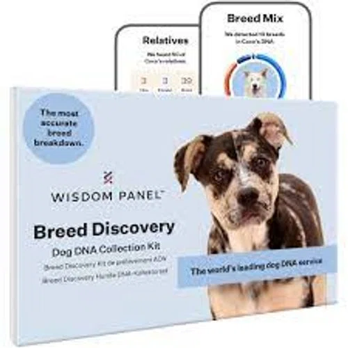 Wisdom Panel Breed Discovery Dog DNA Test